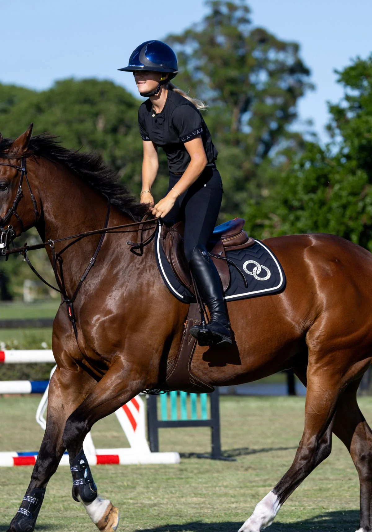 VALA Super Luxe Jump Saddle Pad - Black - Image 4
