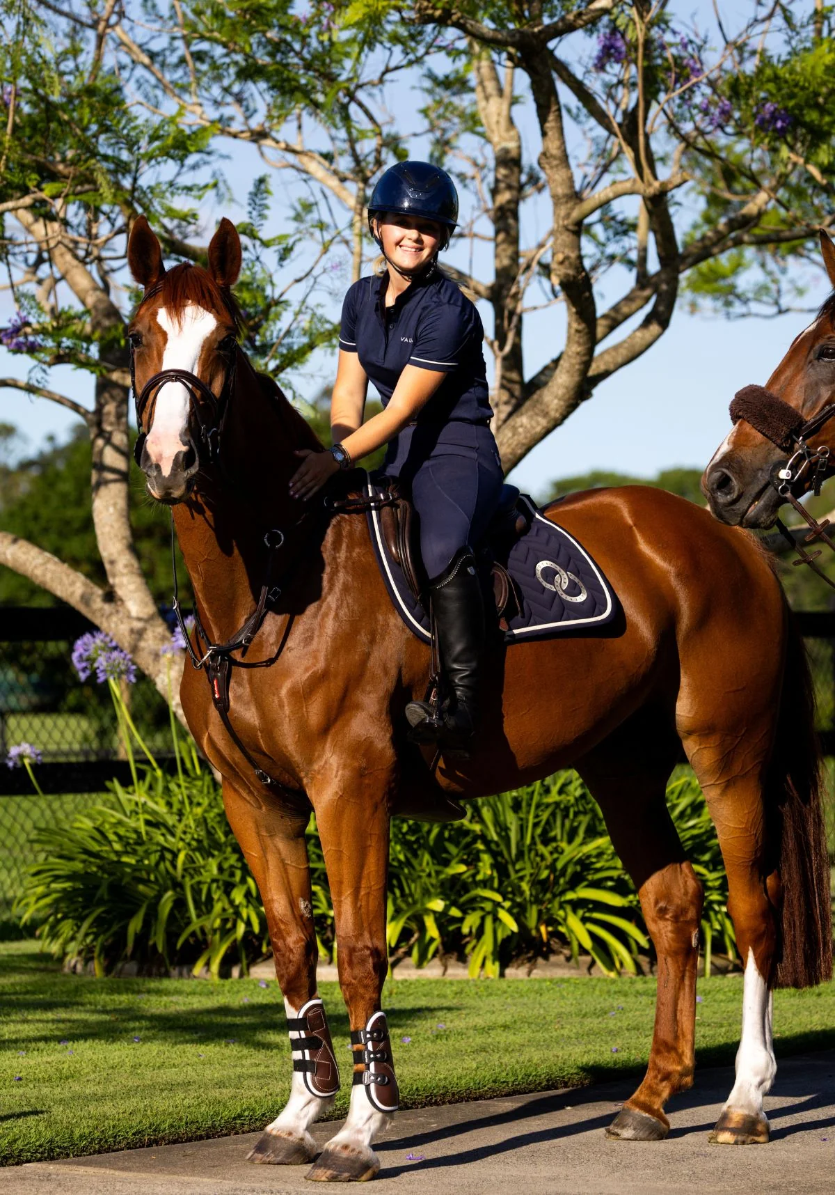 VALA Super Luxe Jump Saddle Pad - Navy - Image 3